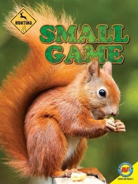 Enlarge image Cover: Small Game - Av2