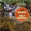 Cover: 24 Hours in a Salt Marsh - Cavendish Square Publishing