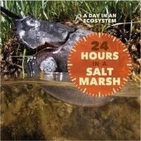 Enlarge image Cover: 24 Hours in a Salt Marsh - Cavendish Square Publishing