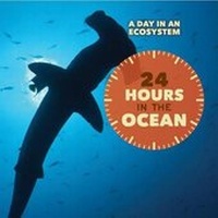 Enlarge image Cover: 24 Hours in the Ocean - Cavendish Square Publishing