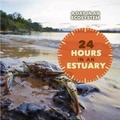 Cover: 24 Hours in an Estuary - Cavendish Square Publishing