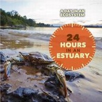 Enlarge image Cover: 24 Hours in an Estuary - Cavendish Square Publishing