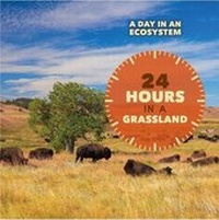 Enlarge image Cover: 24 Hours in a Grassland - Cavendish Square Publishing
