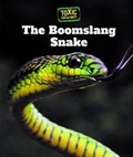 Cover: The Boomslang Snake - Cavendish Square Publishing
