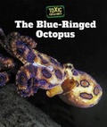 Cover: The Blue-Ringed Octopus - Cavendish Square Publishing