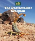 Cover: The Deathstalker Scorpion - Cavendish Square Publishing
