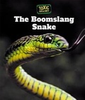 Cover: The Boomslang Snake - Cavendish Square Publishing