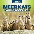 Cover: Meerkats Work Together - PowerKids Press