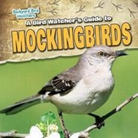 Enlarge image Cover: A Bird Watcher's Guide to Mockingbirds - Gareth Stevens Publishing