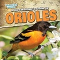Cover: A Bird Watcher's Guide to Orioles - Gareth Stevens Publishing