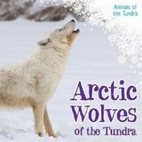 Enlarge image Cover: Arctic Wolves of the Tundra - Kidhaven Publishing