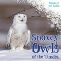 Cover: Snowy Owls of the Tundra - Kidhaven Publishing