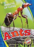 Cover: Ants - Blastoff! Readers
