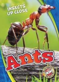 Enlarge image Cover: Ants - Blastoff! Readers