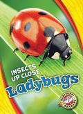 Cover: Ladybugs - Blastoff! Readers
