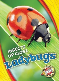Enlarge image Cover: Ladybugs - Blastoff! Readers