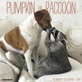 Cover: Pumpkin the Raccoon 2018 Wall Calendar - Willow Creek Press
