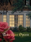Cover: Roe Ethridge - American Spirit - Karma