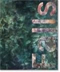 Cover: Sam Falls - JRP Editions SA