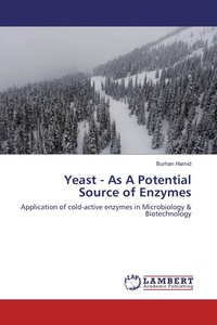 Enlarge image Cover: Yeast - As A Potential Source of Enzymes - LAP Lambert Academic Publishing