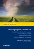 Cover: Looking Beyond the Horizon - World Bank Publications