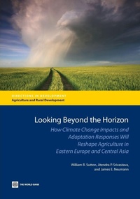 Enlarge image Cover: Looking Beyond the Horizon - World Bank Publications