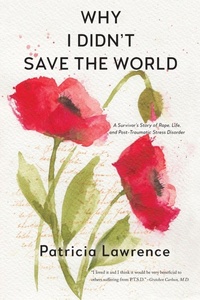 Enlarge image Cover: Why I Didn't Save the World - No Simple Hiway Press