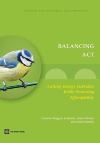 Enlarge image Cover: Balancing Act - World Bank Publications