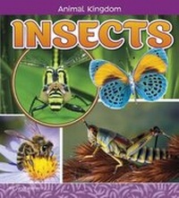 Enlarge image Cover: Insects - Raintree