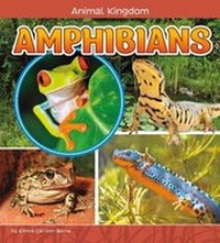 Enlarge image Cover: Amphibians - Raintree