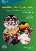 Cover: Gweddiau'r Flwyddyn Eglwysig: Blwyddyn A - Cyhoeddiadau'r Gair
