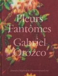 Cover: Gabriel Orozco - Fleurs Fantomes - Grappa studio