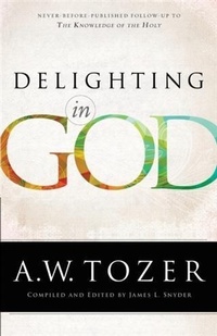 Enlarge image Cover: Delighting in God - Bethany House Publishers