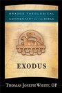 Cover: Exodus (Brazos Theological Commentary on the Bible) - Baker Publishing Group