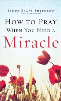 Enlarge image Cover: How to Pray When You Need a Miracle - Baker Publishing Group