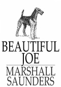 Cover: Beautiful Joe - The Floating Press