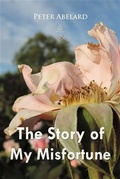 Cover: Story of My Misfortune - Max Bollinger