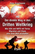 Cover: Der direkte Weg in den Dritten Weltkrieg - Kopp Verlag