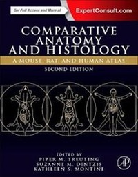 Abbildung von: Comparative Anatomy and Histology - Academic Press