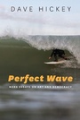 Cover: Perfect Wave - More Essays on Art and Democracy - University of Chicago Press