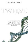Cover: Twelve - Enchanted Publications