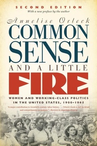Enlarge image Cover: Common Sense and a Little Fire - The University of North Carolina Press