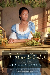 Enlarge image Cover: A Hope Divided - Kensington Publishing