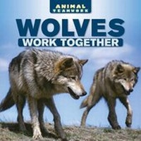 Enlarge image Cover: Wolves Work Together - PowerKids Press