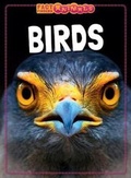Cover: Birds - Windmill Books