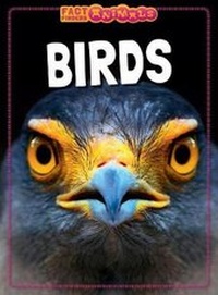 Enlarge image Cover: Birds - Windmill Books
