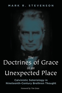 Enlarge image Cover: The Doctrines of Grace in an Unexpected Place - Wipf & Stock Publishers