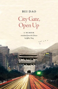 Abbildung von: City Gate, Open Up - Carcanet Poetry