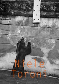 Enlarge image Cover: Niele Toroni - König, Walther