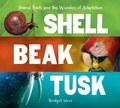 Cover: Shell, Beak, Tusk - Clarion Books